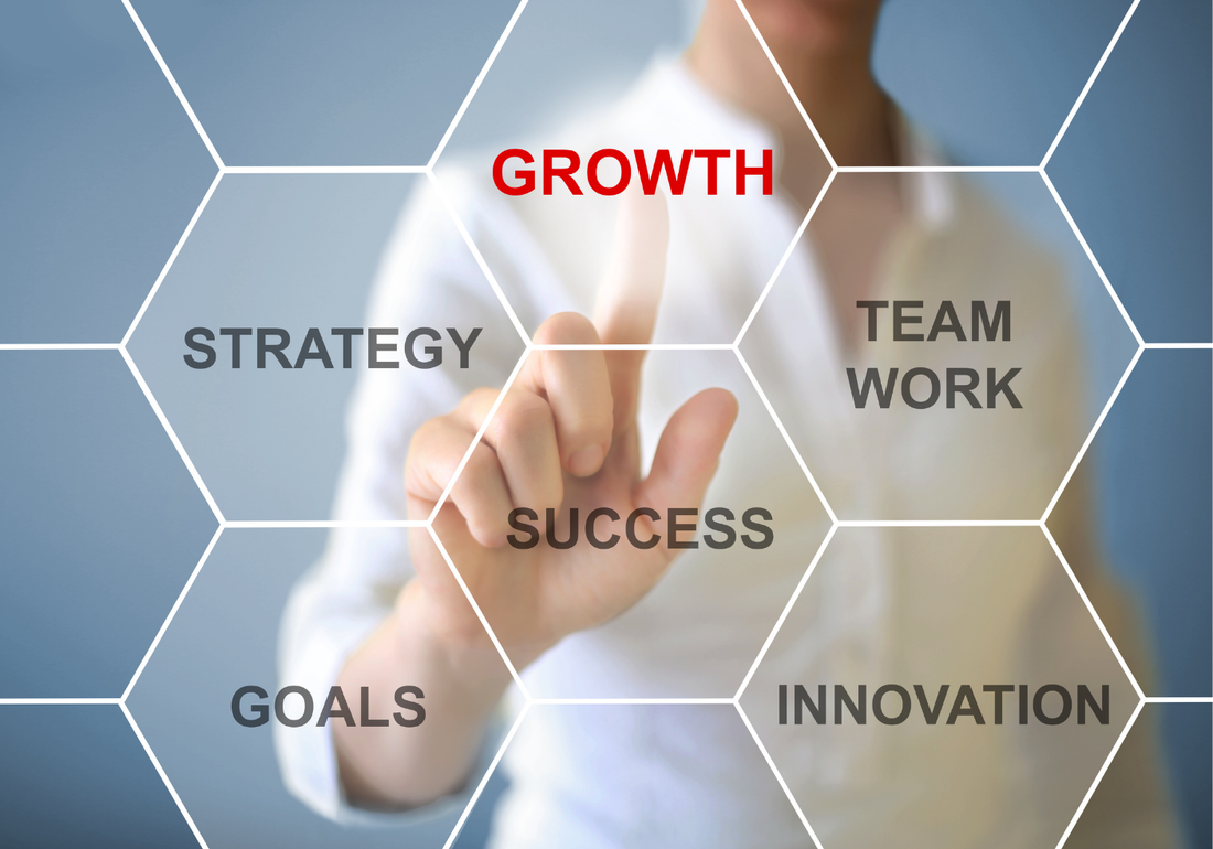 The Framework for Sustainable Growth